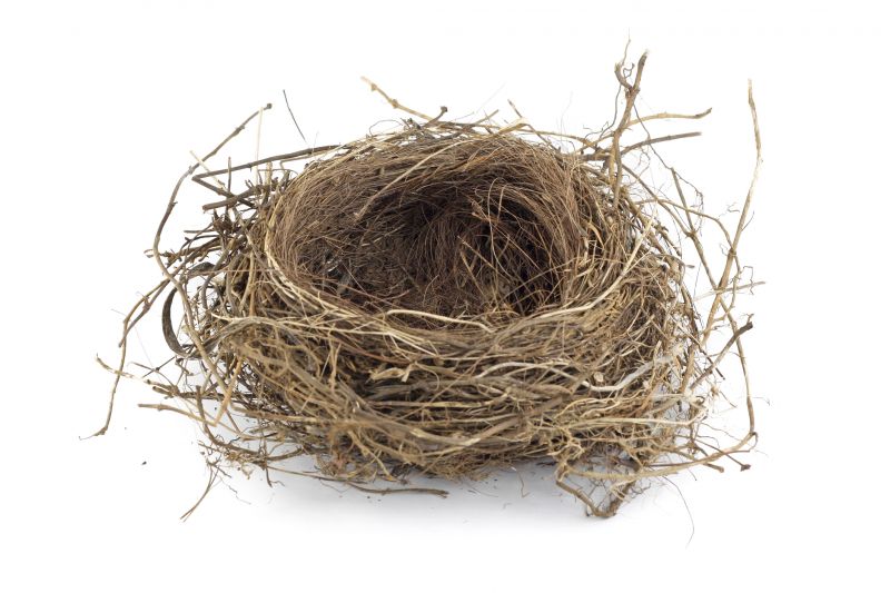 Products For Bird Nest Removals in use